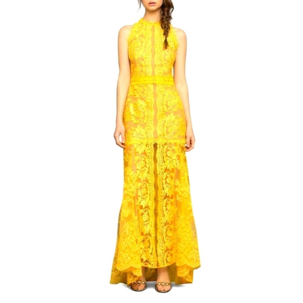 Lace Sleeveless Embroidered Dress